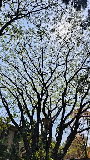 IIMB-gallery-image-6